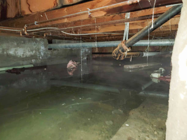 Water damage restoration insurance claims in Seadrift, TX