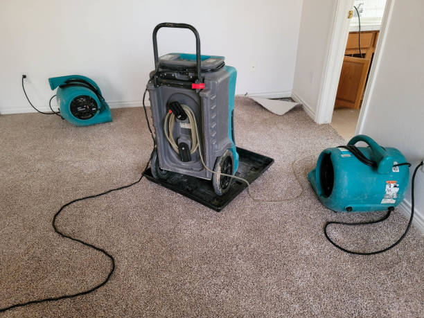 Best Emergency water damage restoration  in Seadrift, TX