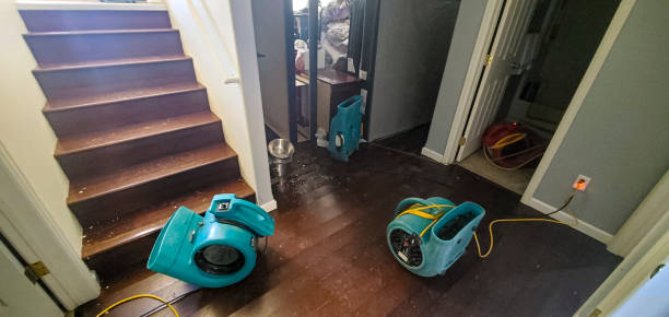 Best 24/7 water damage repair  in Seadrift, TX