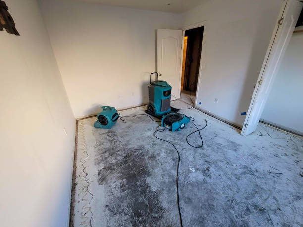 Best 24/7 water damage repair  in Seadrift, TX