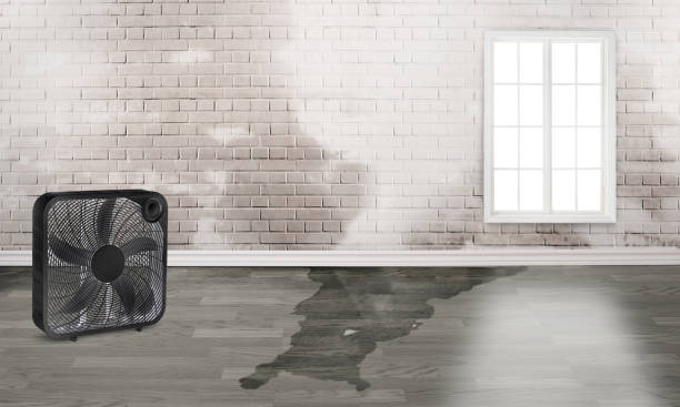 Seadrift, TX Water damage restoration Company