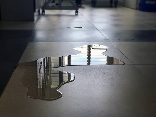 Best 24-hour water damage restoration  in Seadrift, TX