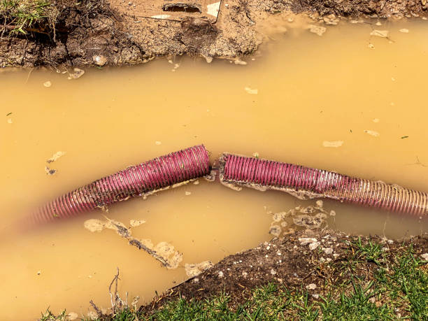  Seadrift, TX Water damage restoration Pros