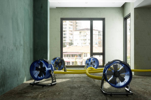 Best Water damage contractors near me  in Seadrift, TX
