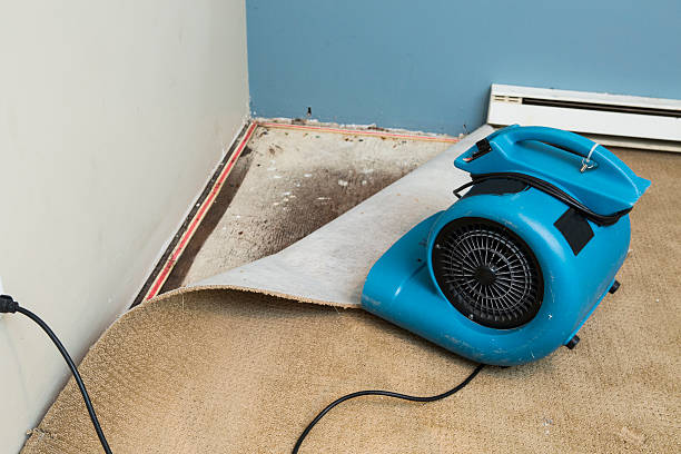 Best Flood damage cleanup  in Seadrift, TX